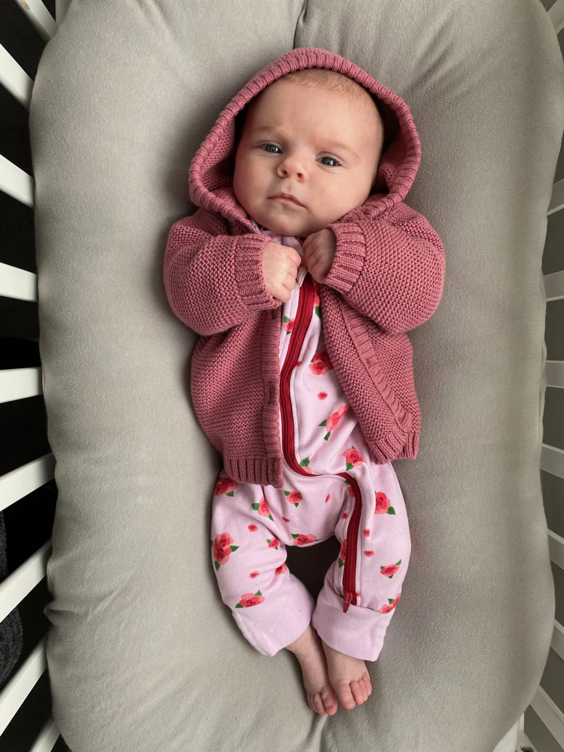 Roses organic cotton ZippyBoo suit - Image 11