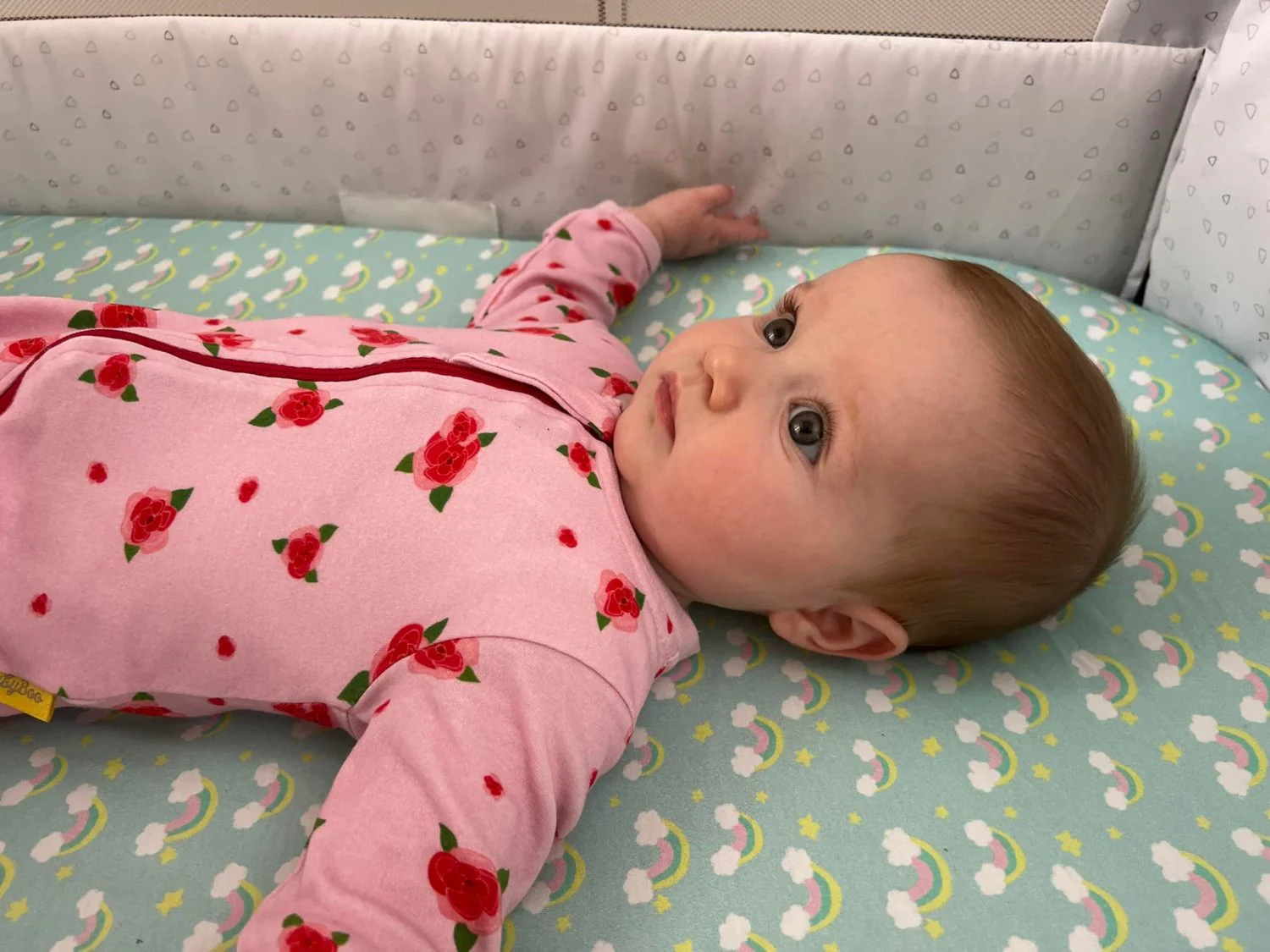 Roses organic cotton ZippyBoo suit - Image 8